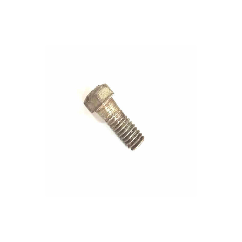 Domestic Motor Attachment Screw