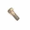 Domestic Motor Attachment Screw