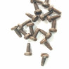 Domestic Clam Needle Guide Screw