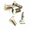 Domestic Motor Screw